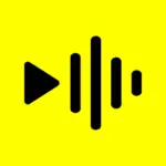 Reelsapp